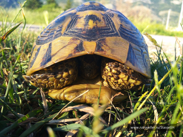 photo 1487844