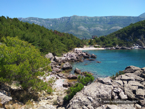 photo 1487846