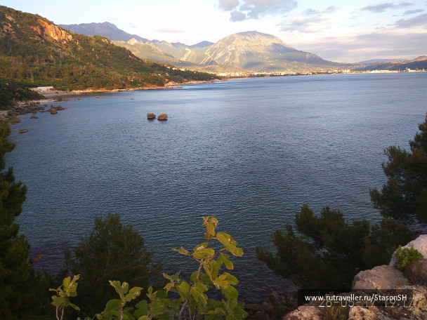 photo 1487848