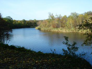 photo 184815