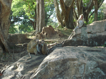 photo 126769