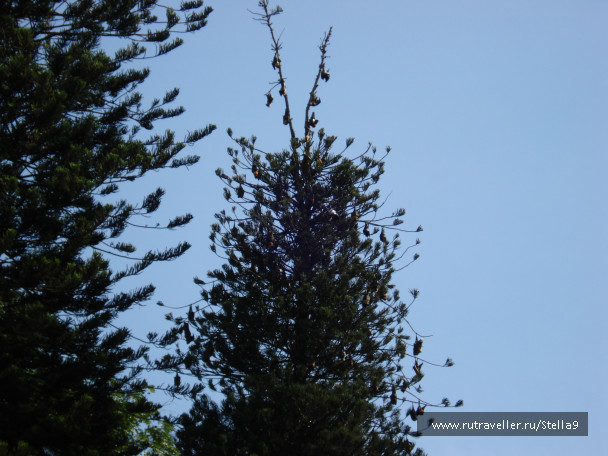 photo 126811