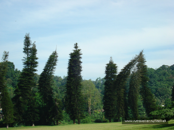 photo 126813
