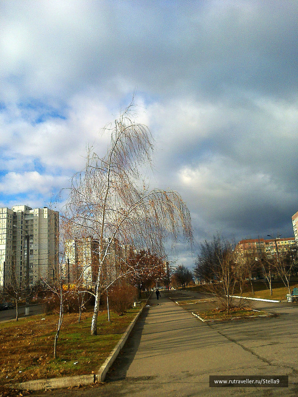 photo 1143910