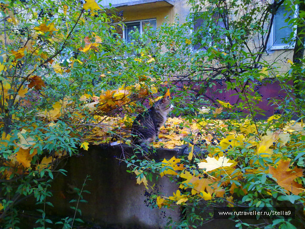 photo 1143911