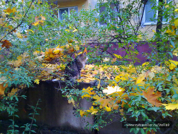 photo 1143912