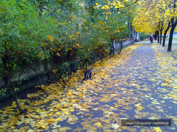 photo 1143913