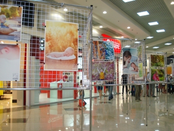 photo 833790
