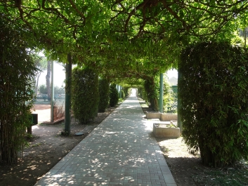 photo 830015
