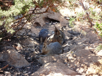 photo 1058240