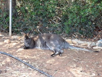 photo 1058241