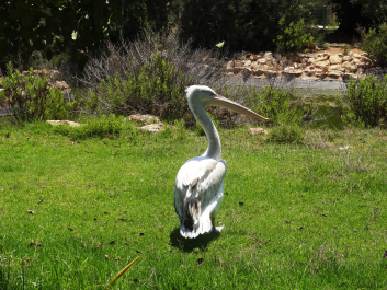 photo 1058246