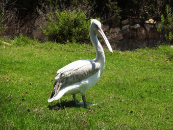 photo 1058247