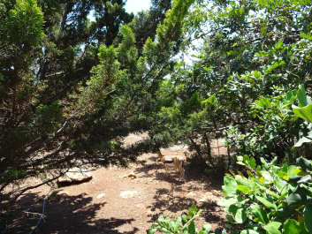 photo 1058254