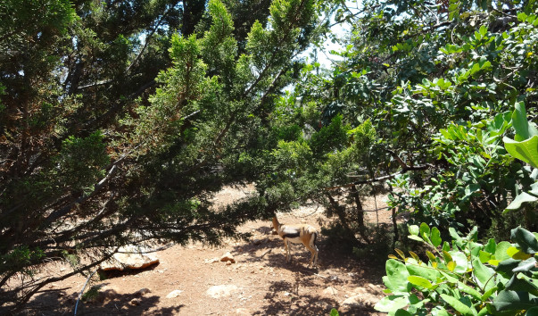 DSC08381