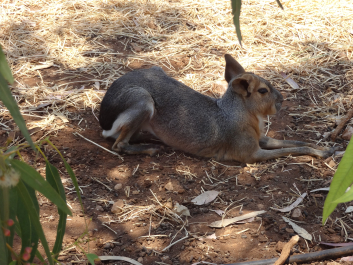 photo 1058277