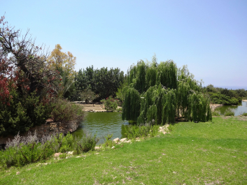 photo 1058279