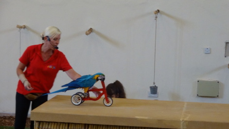 photo 1058284