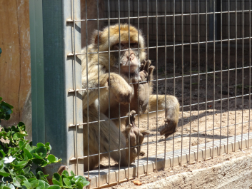 photo 1058298