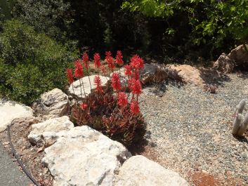 photo 1058299