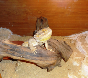 photo 1058303