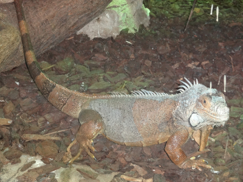 photo 1058306