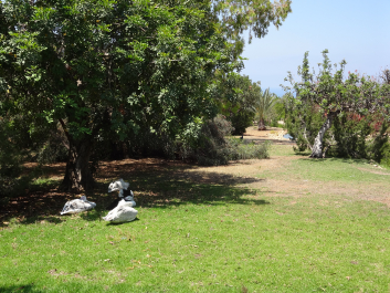 photo 1058315