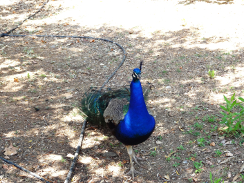 photo 1058317