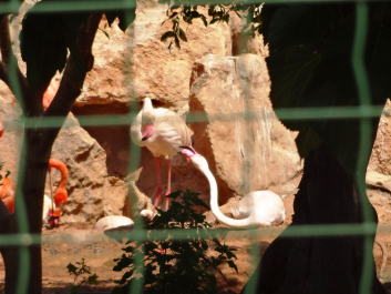 photo 1058352