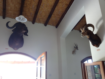 photo 1058714