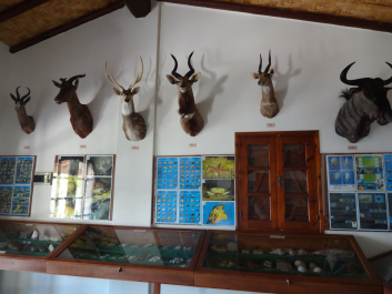 photo 1058715