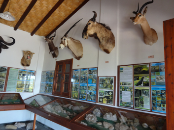 photo 1058718