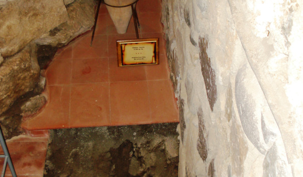DSC08892