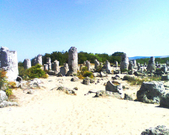 photo 1092713