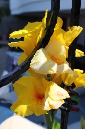 photo 1372504