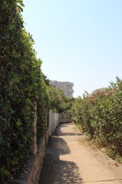 photo 1372512