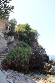 photo 1372515