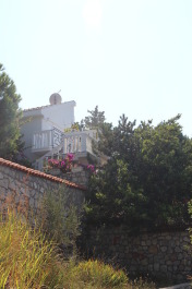 photo 1372517
