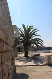photo 1372518