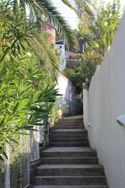 photo 1372527