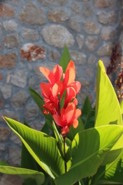 photo 1372530