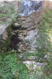photo 1372537
