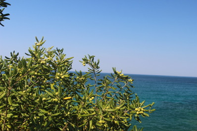 photo 1372538