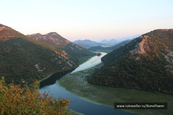 photo 1372542