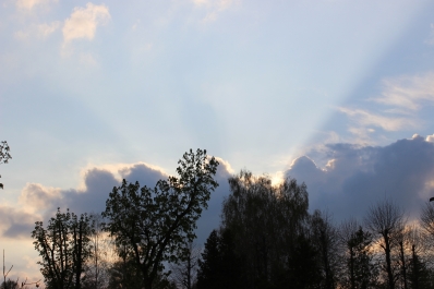 photo 1380242