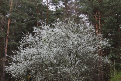 photo 1380243