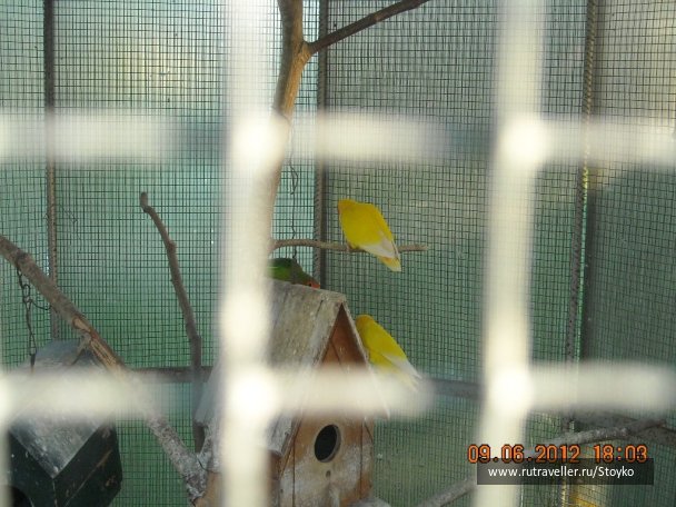 photo 401426
