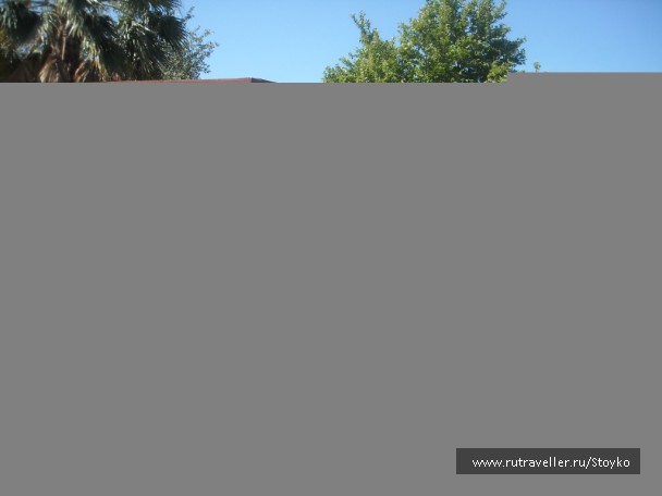 photo 401439