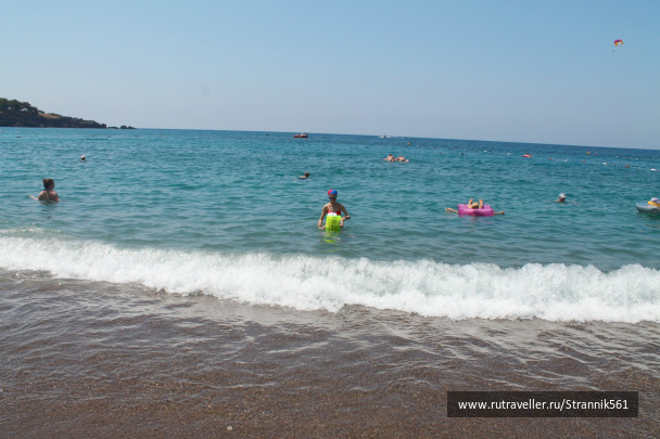 photo 447835