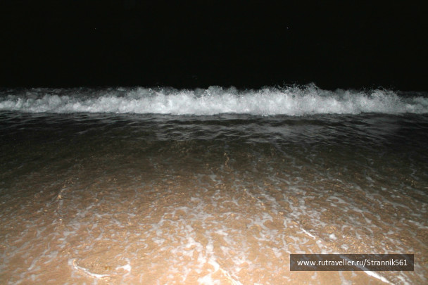 photo 447843